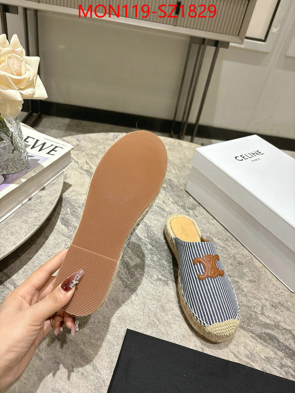 Women Shoes-CELINE what are the best replica ID: SZ1829 $: 119USD