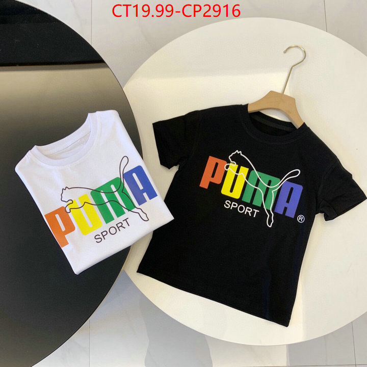 ID: CP2916