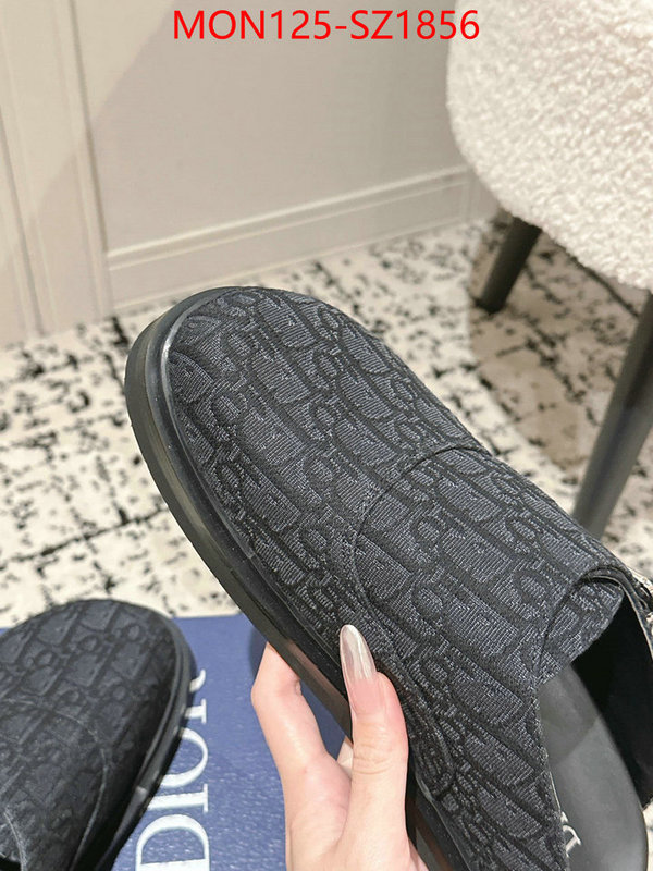 Men shoes-Dior top perfect fake ID: SZ1856 $: 125USD