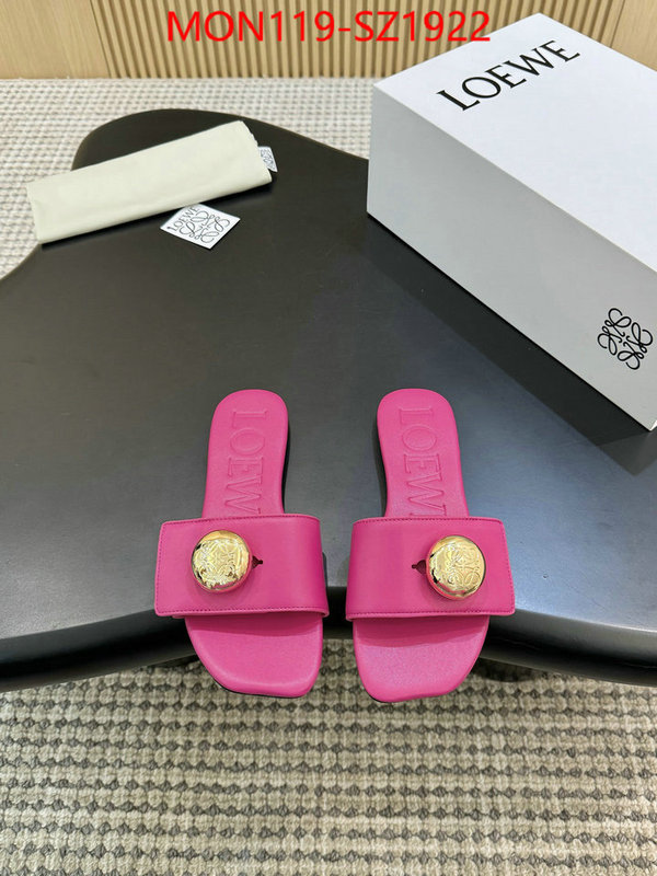 Women Shoes-Loewe new ID: SZ1922 $: 119USD
