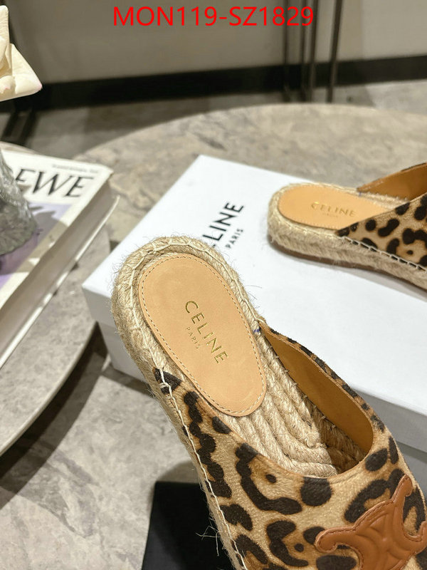 Women Shoes-CELINE what are the best replica ID: SZ1829 $: 119USD