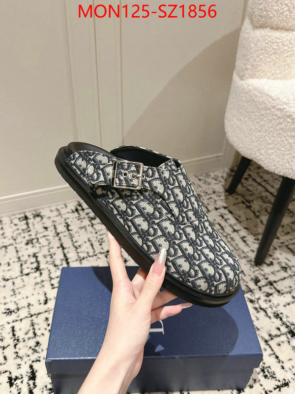 Men shoes-Dior top perfect fake ID: SZ1856 $: 125USD