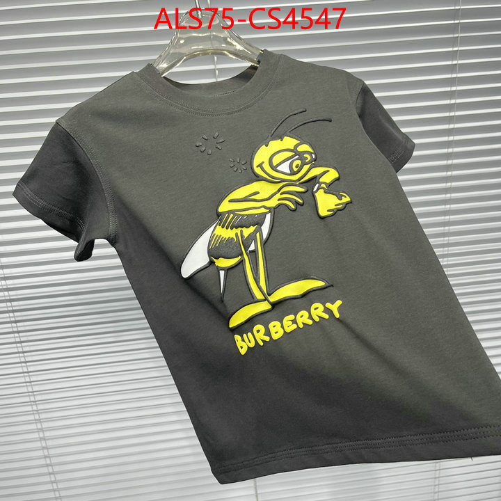 ID: CS4547