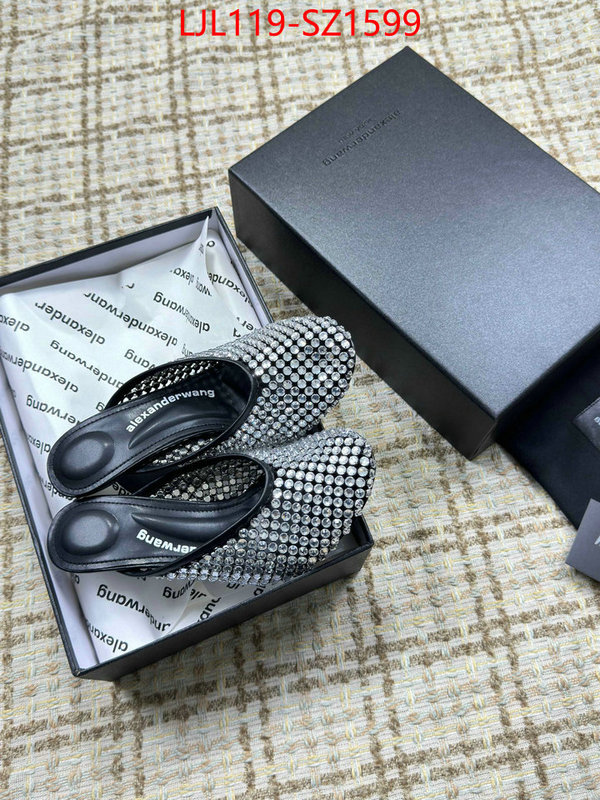Women Shoes-Alexander Wang what is top quality replica ID: SZ1599 $: 119USD