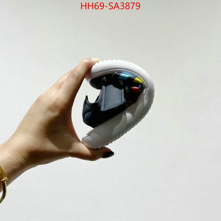ID: SA3879