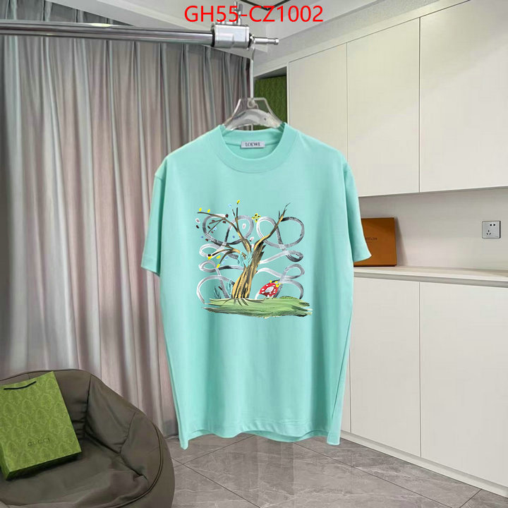 Clothing-Loewe designer 7 star replica ID: CZ1002 $: 55USD