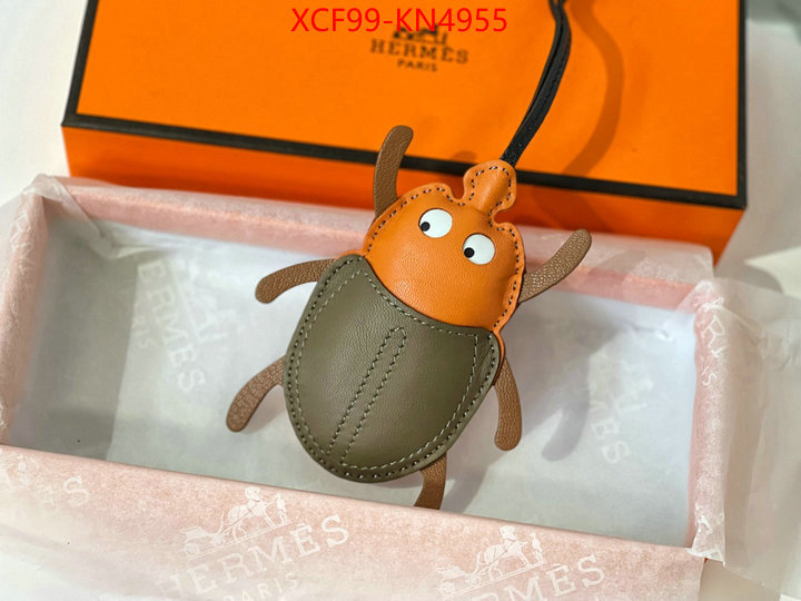 ID: KN4955