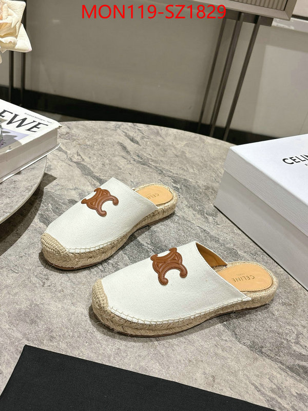 Women Shoes-CELINE what are the best replica ID: SZ1829 $: 119USD
