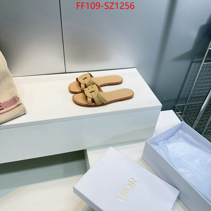 Women Shoes-Dior buying replica ID: SZ1256 $: 109USD