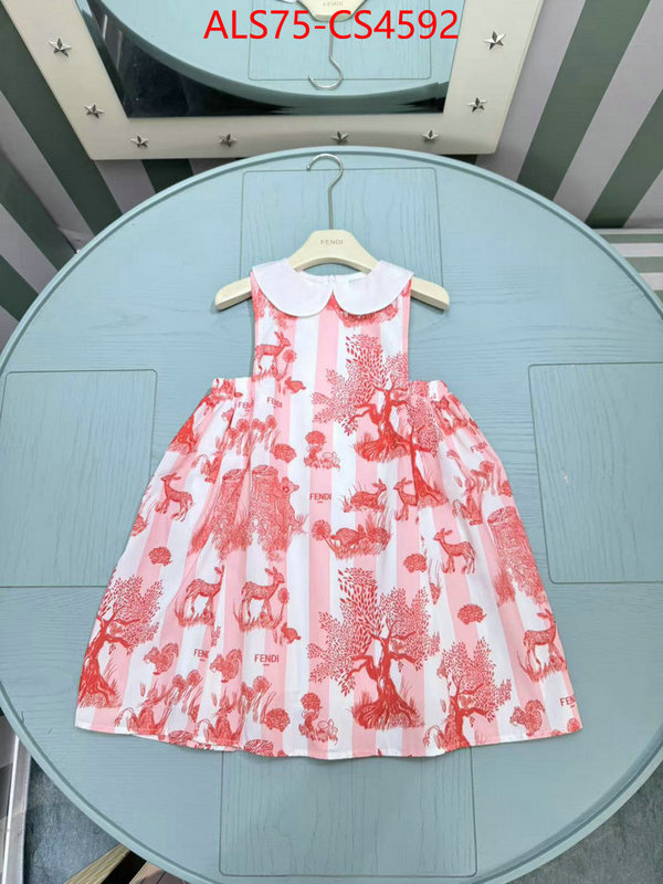ID: CS4592