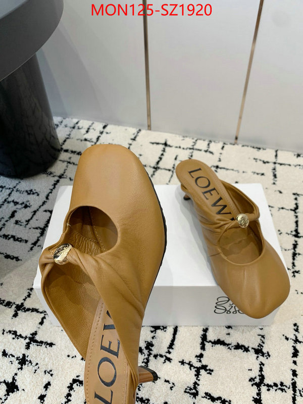 Women Shoes-Loewe 2024 luxury replicas ID: SZ1920 $: 125USD