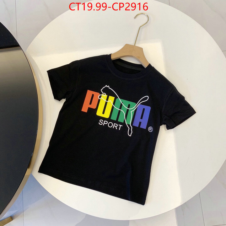 ID: CP2916