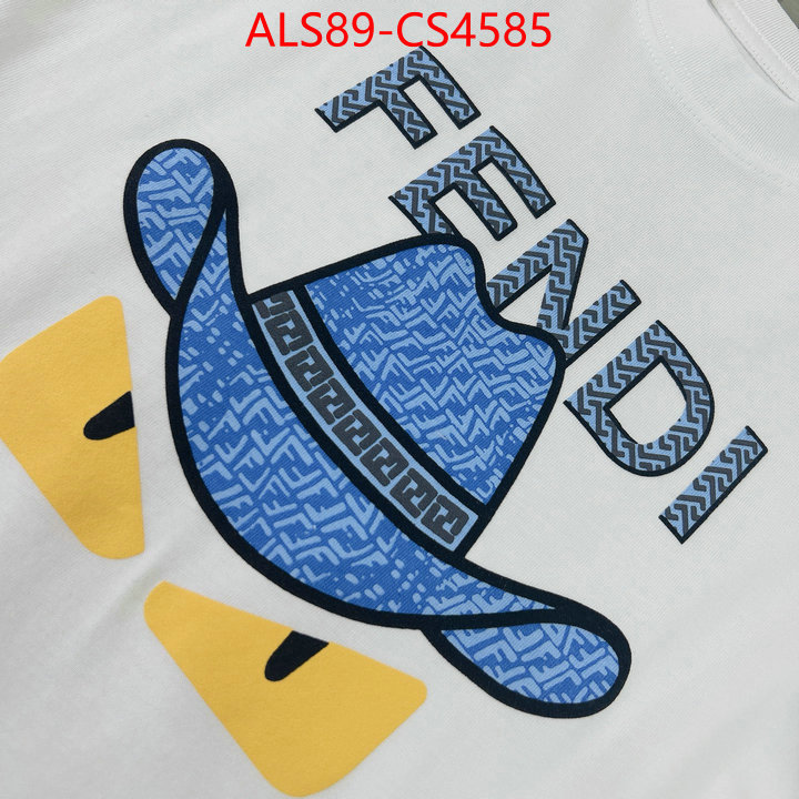 ID: CS4585