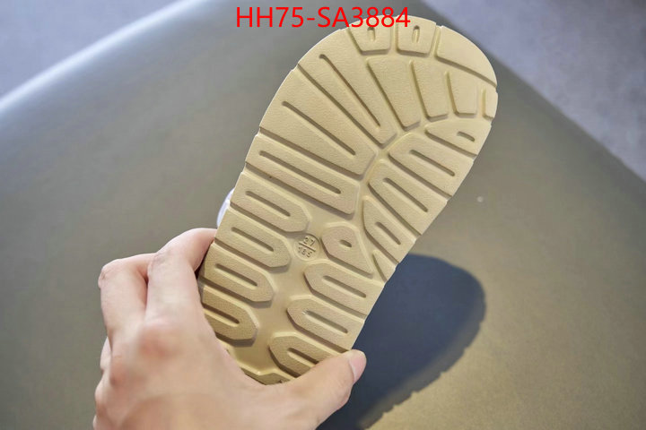 ID: SA3884