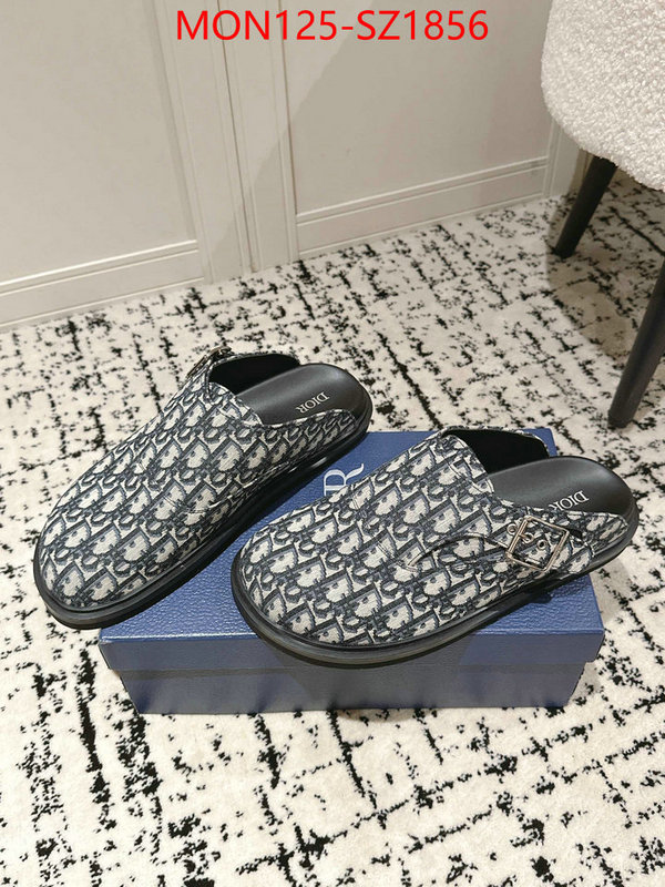 Men shoes-Dior top perfect fake ID: SZ1856 $: 125USD