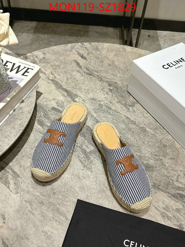 Women Shoes-CELINE what are the best replica ID: SZ1829 $: 119USD