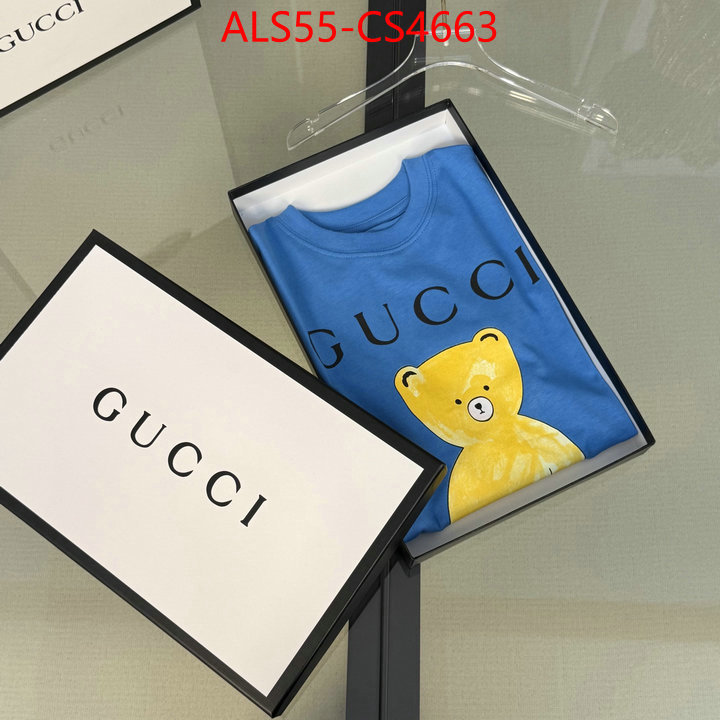 ID: CS4663