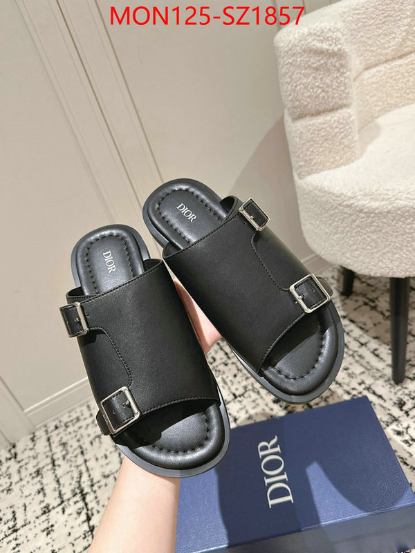 Men shoes-Dior top ID: SZ1857 $: 125USD
