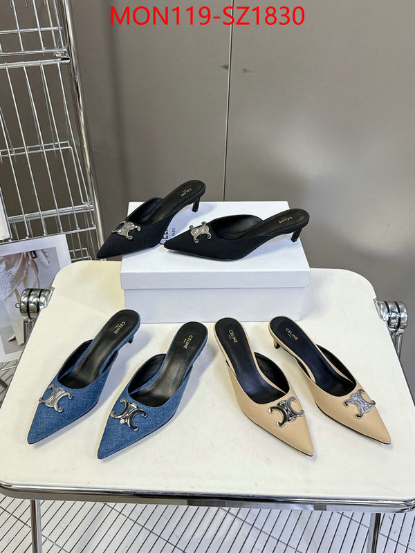 Women Shoes-CELINE sellers online ID: SZ1830 $: 119USD