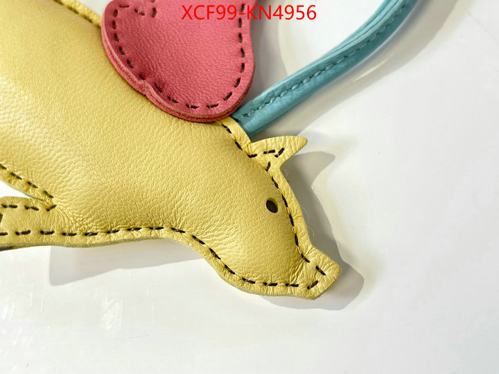 ID: KN4956