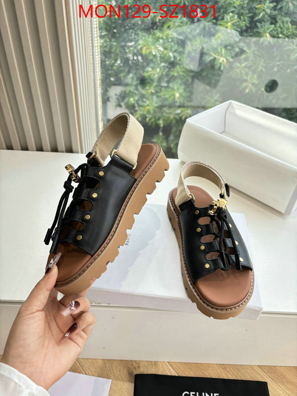 Women Shoes-CELINE supplier in china ID: SZ1831 $: 129USD