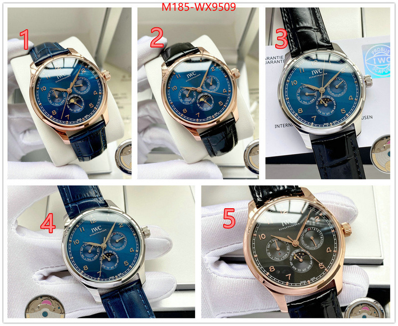 ID: WX9509