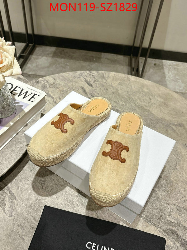 Women Shoes-CELINE what are the best replica ID: SZ1829 $: 119USD