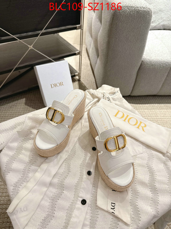 Women Shoes-Dior where to find the best replicas ID: SZ1186 $: 109USD