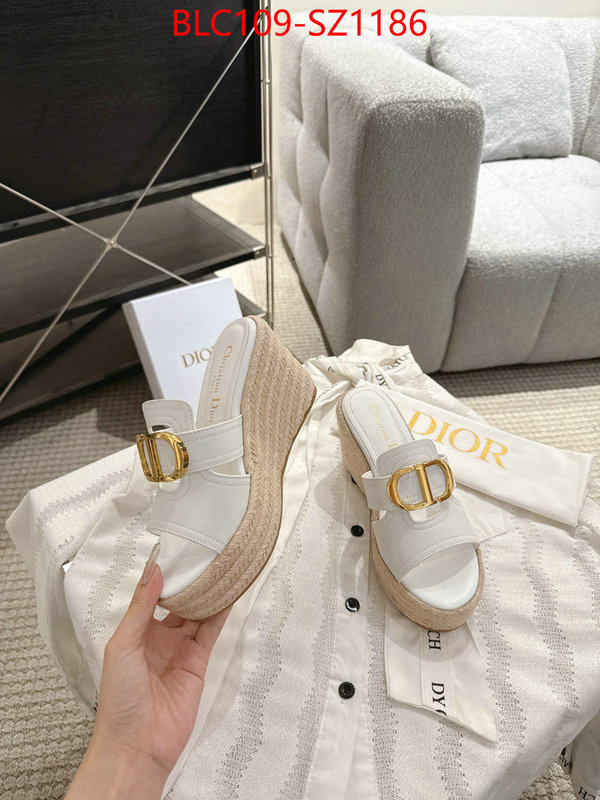 Women Shoes-Dior where to find the best replicas ID: SZ1186 $: 109USD
