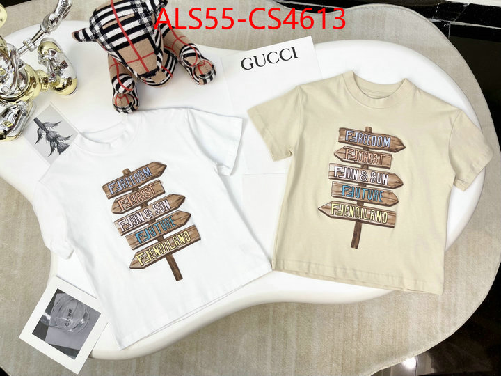 ID: CS4613