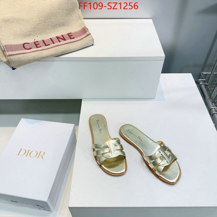 Women Shoes-Dior buying replica ID: SZ1256 $: 109USD