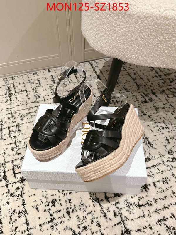 Women Shoes-Dior how to start selling replica ID: SZ1853 $: 125USD