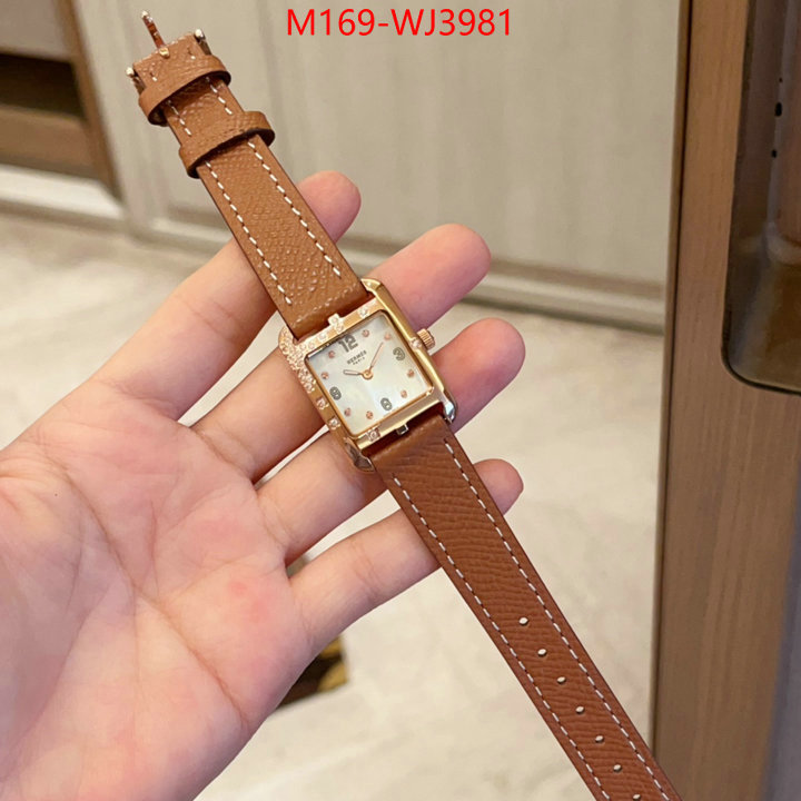 ID: WJ3981