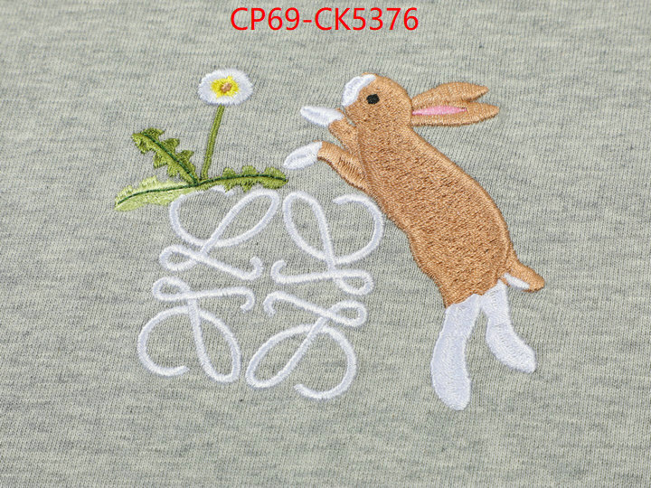 Clothing-Loewe wholesale replica shop ID: CK5376 $: 69USD