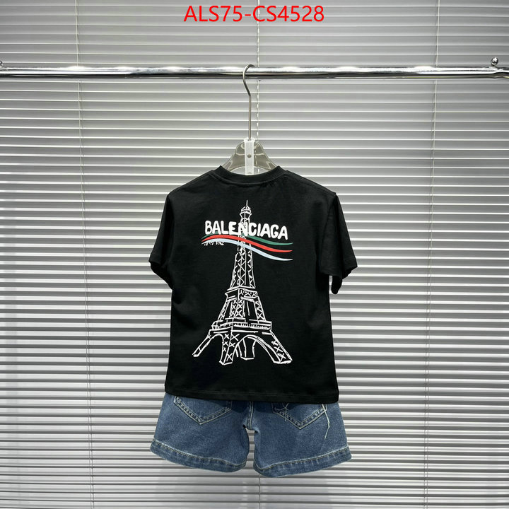 ID: CS4528