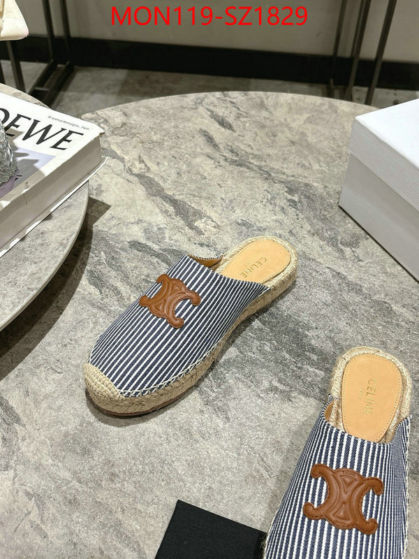Women Shoes-CELINE what are the best replica ID: SZ1829 $: 119USD