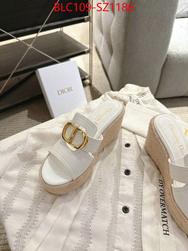 Women Shoes-Dior where to find the best replicas ID: SZ1186 $: 109USD