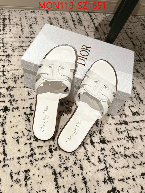 Women Shoes-Dior cheap replica designer ID: SZ1851 $: 119USD
