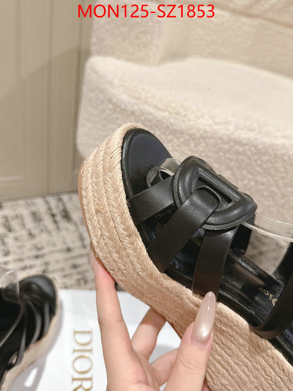 Women Shoes-Dior how to start selling replica ID: SZ1853 $: 125USD