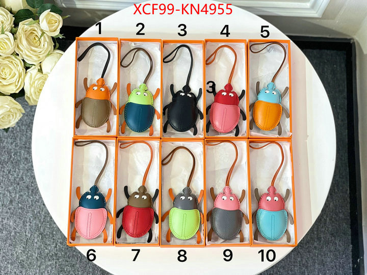 ID: KN4955