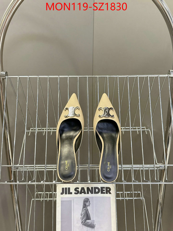 Women Shoes-CELINE sellers online ID: SZ1830 $: 119USD