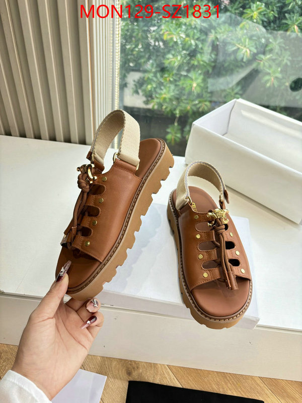 Women Shoes-CELINE supplier in china ID: SZ1831 $: 129USD