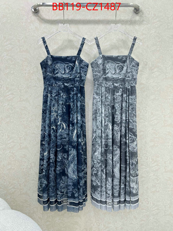 Clothing-Dior fashion designer ID: CZ1487 $: 119USD