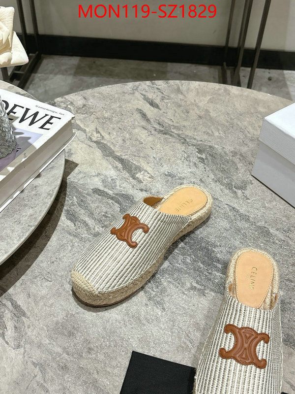 Women Shoes-CELINE what are the best replica ID: SZ1829 $: 119USD