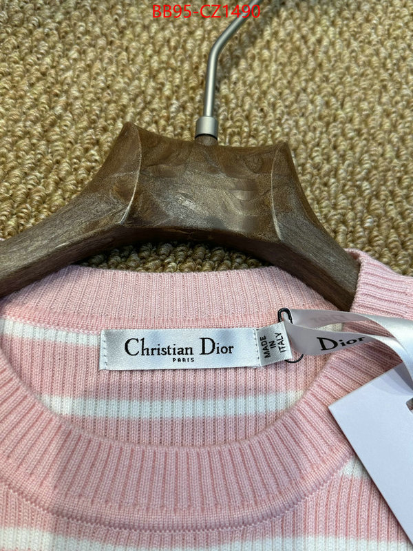 Clothing-Dior wholesale ID: CZ1490 $: 95USD