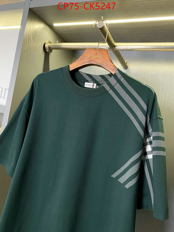 Clothing-Burberry aaaaa customize ID: CK5247 $: 75USD