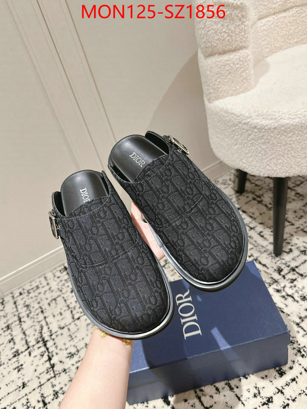 Men shoes-Dior top perfect fake ID: SZ1856 $: 125USD