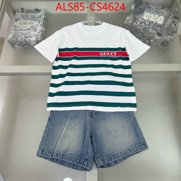 ID: CS4624