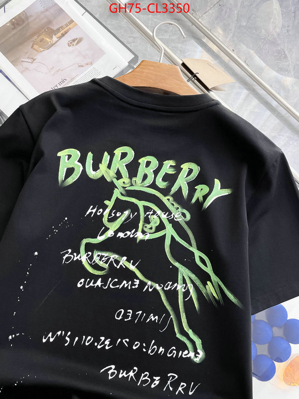 Clothing-Burberry top perfect fake ID: CL3350 $: 75USD