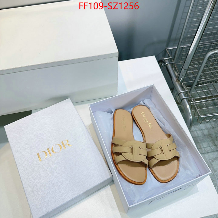 Women Shoes-Dior buying replica ID: SZ1256 $: 109USD